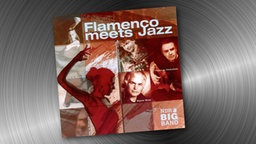 CD Cover: Flamenco meets Jazz, Thomas Hickstein und NDR Bigbband © Documents SPV 
