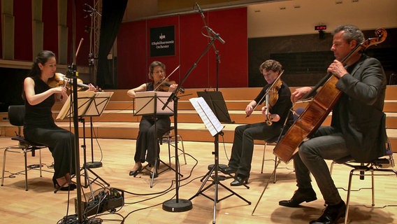 Das Elphier-Quartett im Rolf-Liebermann-Studio während einer Audioaufnahme. © NDR Foto: Screenshot