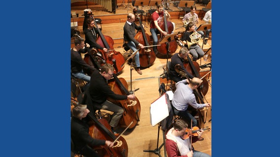 Blick von oben: Kontrabassisten des NDR Sinfonieorchesters © NDR Sinfonieorchester Foto: Erik Franz