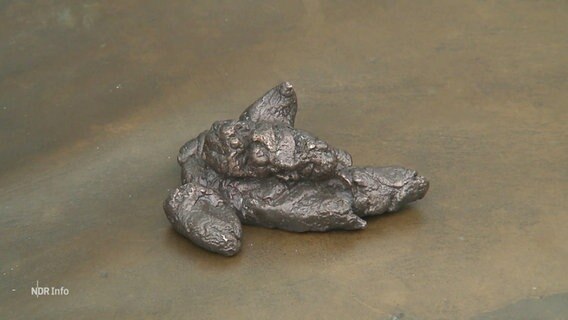 In Bronze gegossener Hundekot. © Screenshot 