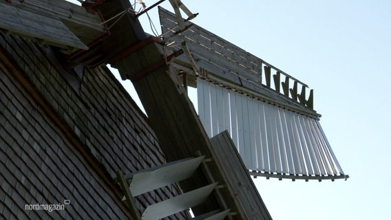 Nahaufnahme der Flügel der Storkower Bockwindmühle. © Screenshot 