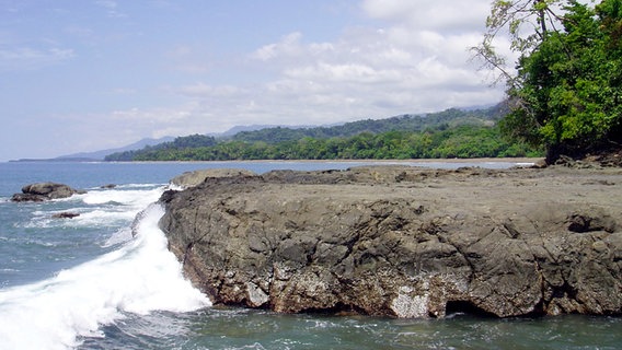 Reiche Küste: Costa Rica - Land zwischen Karibik und Pazifik. © NDR/Torsten Silbermann 