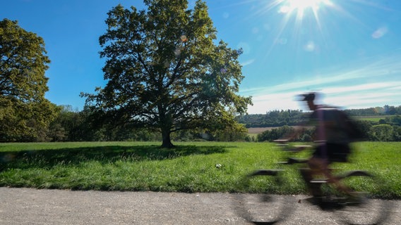 Ein Radfahrer fährt bei Sonnenschein an einer Wiese mit Bäumen entlang. © picture alliance / dpa Foto: Bernd Weißbrod
