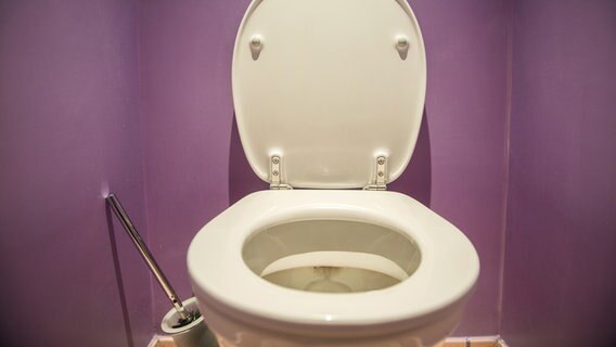 Eine Toilette mit Putzbürste vor eine lila Wand. © colourbox Foto: -