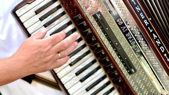 Ein Musiker spielt während einer Feier auf einem Akkordeon. © picture alliance / dpa Foto: Hauke-Christian Dittrich