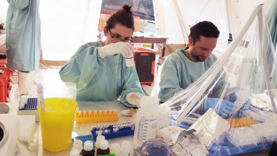 Wissenschaftler arbeiten im mobilen Labor des Bernhard-Nocht-Instituts © Bernhard-Nocht-Institut 
