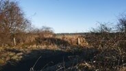 Kritiker von Oberbillwerder wollen die Natur erhalten  Foto: Bert Beyers