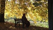 Eine Frau sitzt unter Herbstlaub auf einer Bank © NDR Foto: Wolfgang Lange