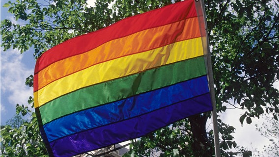 Regenbogenflagge. © picture alliance / Arco Images GmbH Foto: Svarc, P.