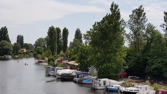 Auf der Billerhuder Insel liegen viele Schrebergärten, am Ufer sind kleine Boote festgemacht. © NDR Foto: Petra Volquardsen