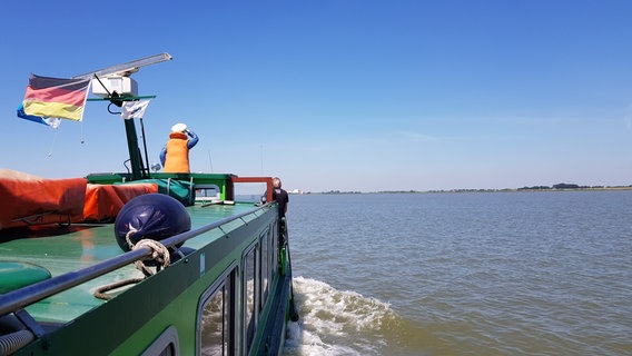 Beim Törn mit dem „Tidenkieker“ ab Krautsand entdecken Fahrgäste die Inselwelt der Elbe. Beim Törn mit dem „Tidenkieker“ ab Krautsand entdecken Fahrgäste die Inselwelt der Elbe. © Petra Volquardsen Foto: Petra Volquardsen