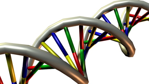 DNS Doppelhelix © picture-alliance 