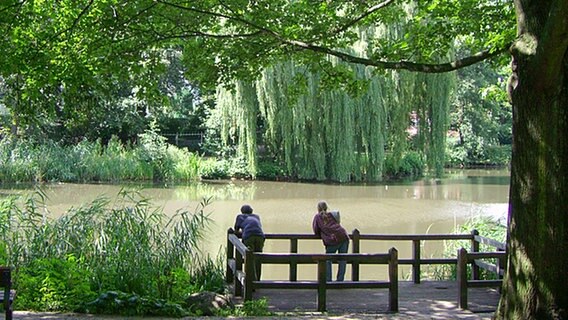 Der Park am Weiher in Eimsbüttel  Foto: Franziska Drewes