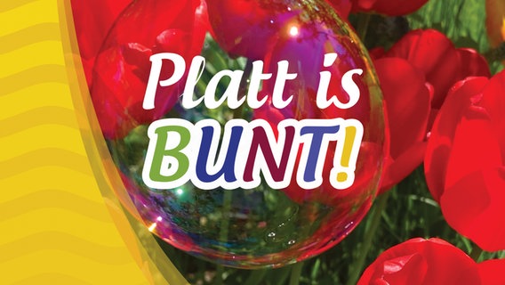 "Platt is bunt!" heisst eine neue Ausstellung in der Hamburger Zentralbibliothek am Hühnerposten vom 1. bis 30. April 2022. © Länderzentrum für Niederdeutsch Foto: Länderzentrum für Niederdeutsch