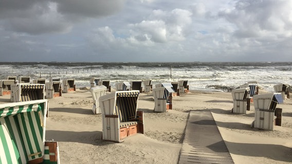 Strand von Wangerooge. © NDR Foto: Markus Lobsien