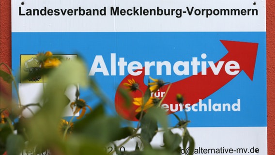 Plakat der Alternative für Deutschland (AfD), Landesverband Mecklenburg-Vorpommern © dpa-Bildfunk Foto: Wüstneck, Bernd