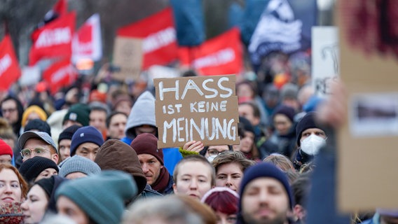 Tausende Menschen bei einer Demonstration gegen die AfD vor dem Brandenburger Tor © Picture Alliance / Geisler-Fotopress Foto:  Bernd Elmenthaler