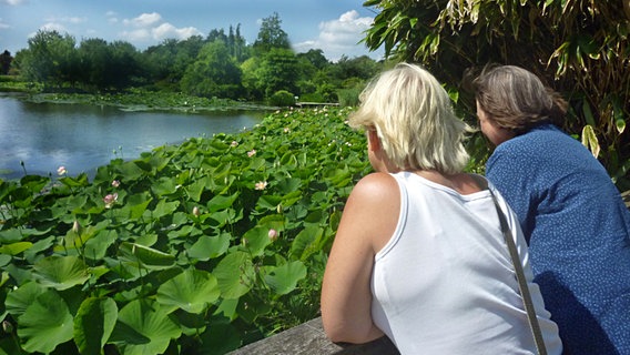 Zwei Frauen blicken auf einen See mit Lotospflanzen. © Petra Volquardsen Foto: Petra Volquardsen