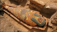 Freigelegter Sarg mit einer Mumie in der Nähe der Teti-Pyramide © picture alliance / Marc Deville / akg-images | / akg-images Foto: Marc Deville / akg-images | / akg-images