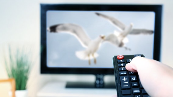 Ein Hand mit Fernbedienung ist auf einen Fernseher im Wohnzimmer gerichtet © fotolia.com Foto: Africa Studio, igorprusac