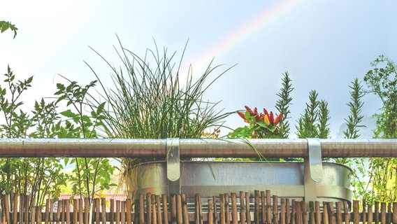 Balkon mit Töpfen, Pflanzen und Regenbogen © photocase.de Foto: loes.kieboom