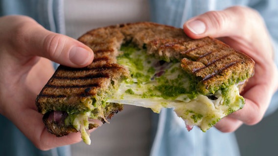 Grilled-Cheese Sandwich mit Bärlauchpesto © Zora Klipp 