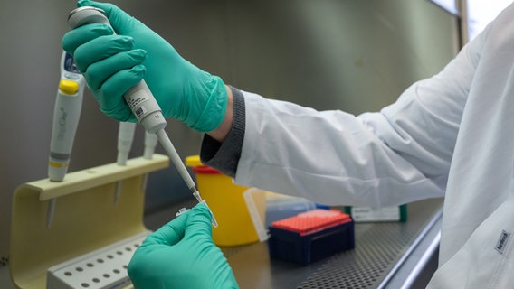 Ein Forscher zeigt, wie ein PCR-Test für die Analyse auf Mutationen des Coronavirus vorbereitet wird. © picture alliance/dpa Foto: Sebastian Gollnow