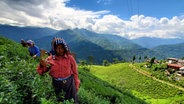 Teepflückerinnen stehen in Darjeeling in einer Teeplantage © Samuel Jakisch Foto: Samuel Jakisch
