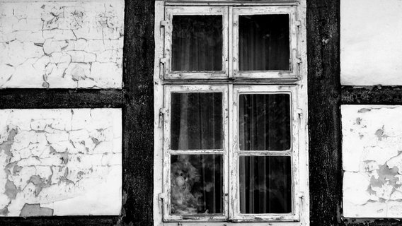 Das Fenster eines alten Fachwerkhauses ist sehr porös. Innen ist es dunkel. © frau.L. / photocase.de 