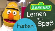 Bert steht in einem Labor und trägt eine Sicherheitsbrille und Kittel, neben ihm auf einem Schild steht: "Sesamstraße: Lernen mit Spaß - Farben". © NDR 