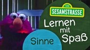 Elmo wird von unten angeleuchtet und steht neben einem Schild auf dem steht: "Sesamstraße: Lernen mit Spaß - Sinne". © NDR 