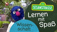 Groby mit einem Kittel und dicker Brille steht neben einem Schild auf dem steht: "Sesamstraße: Lernen mit Spaß - Wissenschaft". © NDR 