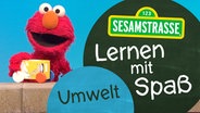 Elmo mit einem gebastelten Auto steht neben einem Schild auf dem steht: "Sesamstraße: Lernen mit Spaß - Umwelt". © NDR 
