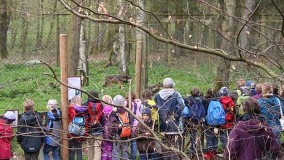 Gruppe vor dem Wolfsgehege © H E I N E K O M M 