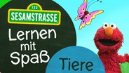 Elmo steht neben einem Schild auf dem steht: "Sesamstraße: Lernen mit Spaß - Tiere". © NDR 