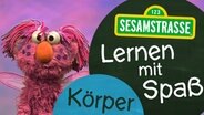 Der als Abby verzaubert Elmo mit Flügeln, Sommersprossen und rosanem Fell, steht neben einem Schild auf dem steht: "Sesamstraße: Lernen mit Spaß - Körper" © NDR 