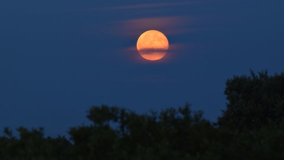 Ein Erdbeermond am Himmel © fotolia.de Foto: fotolia.de