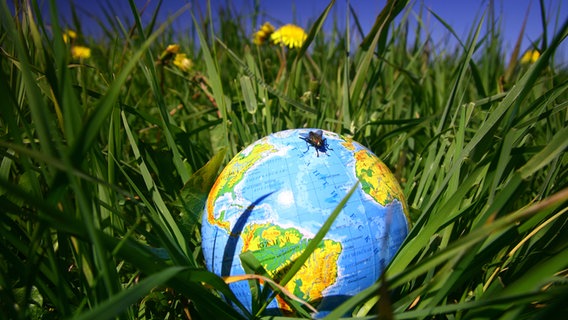 Ein Globus liegt auf einer grünen Wiese. © PantherMedia Foto: Yellowj (YAYMicro)