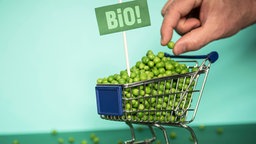 Ein Mini-Einkaufswagen voller Bio-Erbsen aus dem eine Hand eine Erbse entnimmt. © Complize / Photocase Foto: Complize / Photocase