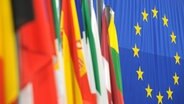 Die Flaggen der europäischen Mitgliedsstaaten im Europaparlament © picture alliance Foto: PATRICK SEEGER/dpa