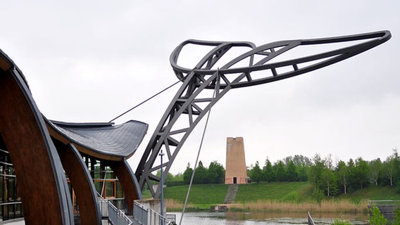 Die Flosse des "Expo-Wals" © NDR Foto: Sven Glagow