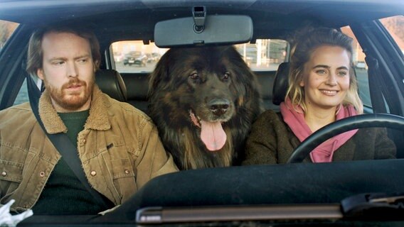Romantic-Comedy Big Dating: Zwei Personen sitzen in einem Auto, auf der Rückbank ist einer großer brauner Hund. © Peter Drittenpreis/Kundschafter Filmproduktion/Schurkenstart Film 