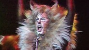 Ein Darsteller aus dem Musical "Cats". © NDR 