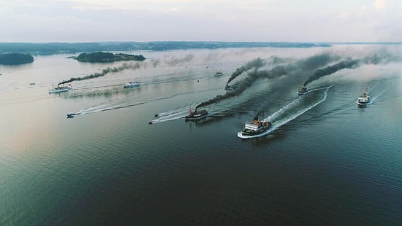 Beim "Dampf Rundum" liefern sich Dampfschiffe ein Rennen auf der Flensburger Förde  