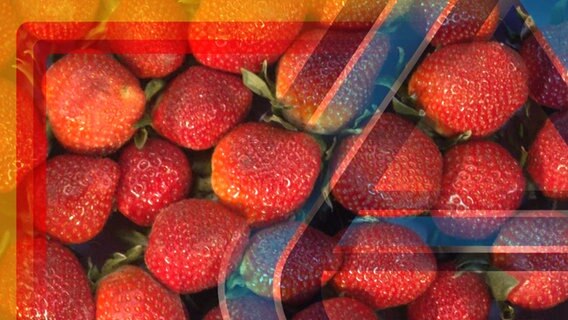 Erdbeeren liegen dicht nebeneinander. Darüber ist durchscheinend das Aldi-Logo zu sehen. © NDR 