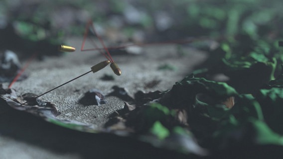 Patronenhülsen stecken auf Drähten in der Erde. © NDR 