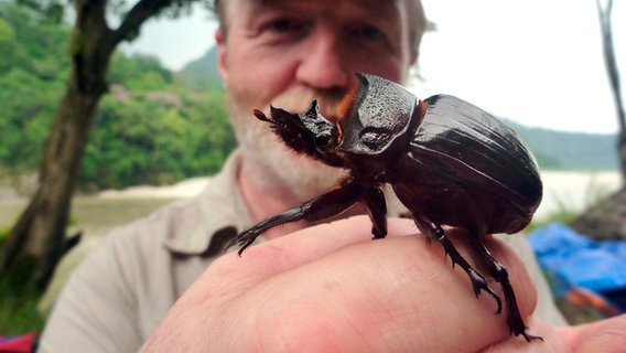 Der Biologe George McGavin von der Universität Oxford untersucht den Zustand der Wälder im Süden Bhutan. Seine Leidenschaft gilt den Insekten, hier hat er einen riesigen Mistkäfer ausgegraben. © NDR/Henry Mix/NDR Naturfilm 
