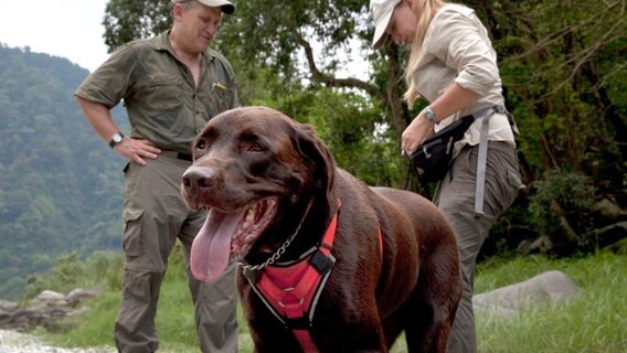 Alan Rabinowitz und Claudia Wultsch hoffen mit Hilfe von Spürhund Bruiser Tigerspuren finden zu können. © NDR/Henry Mix/NDR Naturfilm 