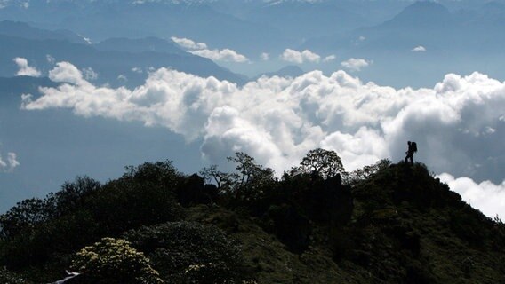 Die Südhänge des Himalajas sind bis auf 3.500 Meter bewaldet. Könnten selbst in dieser Höhe noch Tiger leben? © NDR/Henry Mix/NDR Naturfilm 