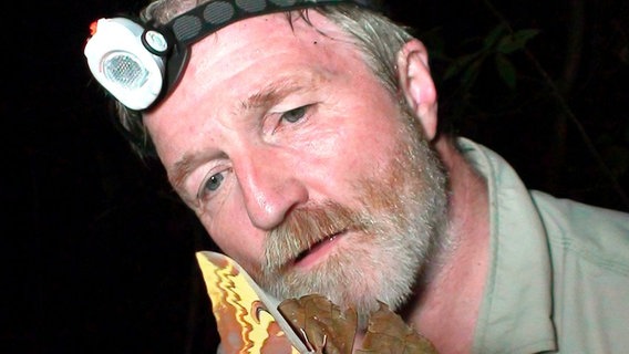 In den tropischen Nächten macht sich George McGavin auf die Suche nach Insekten. Diese Motte ist ein besonders prächtiges Exemplar. © NDR/Henry Mix/NDR Naturfilm 